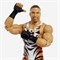 Фигурка WWE Collectors Роб Ван Дам - Rob Van Dam Elite Collection Series 91 8325