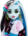 Кукла MONSTER HIGH Basic Generation 3 – Френки Штейн Поколение 3 8401