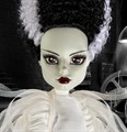 Набор кукол MONSTER HIGH Skullector 2022 - Франкенштейн и Невеста 8521
