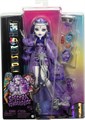 Кукла Monster High Spectra Vondergeist Doll with Pet Ferret 8954