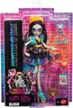 Кукла Monster High Skelita Calaveras Doll in Colourful Papel Picado Dress with Dog Candelita 9083