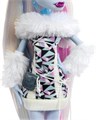 Кукла MONSTER HIGH Boo-riginal Creeproduction - Эбби Боминейбл базовая с питомцем 9159