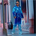 Кукла Ken Kouture 2 Doll Label Gold 9239