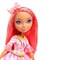 Кукла EVER AFTER HIGH День рождения - Кедра Вуд 4421