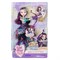Кукла EVER AFTER HIGH Магия стрелка - Рейвен Квин 4655