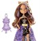 Кукла MONSTER HIGH 13 желаний - Клодин Вульф 3297