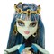 Кукла MONSTER HIGH 13 желаний - Френки Штейн 3242 - фото 7918