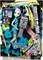 Кукла MONSTER HIGH Высоковольтные волосы - Френки Штейн 7654