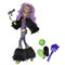 Кукла MONSTER HIGH Монстры рулят - Клодин Вульф - фото 8452