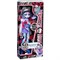 Кукла MONSTER HIGH Музыкальный фестиваль - Эбби Боминэйбл 3246